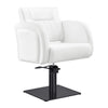 Salon Chair - Anodic Styling Chair DIR Store