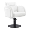 Salon Chair - Anodic Styling Chair DIR Store