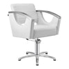 Salon Chair with Stainless Steel Armrest - Bello Styling Chair - DIR Store