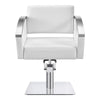 Salon Chair with Stainless Steel Armrest - Bello Styling Chair - DIR Store