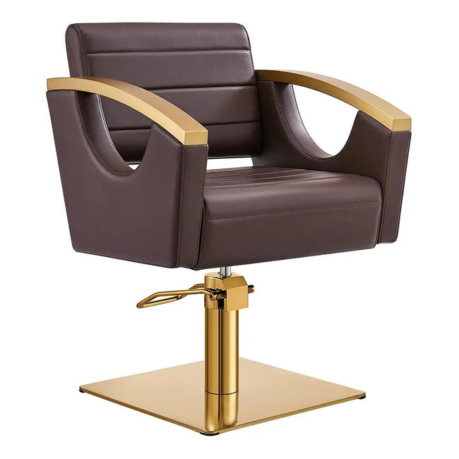 Salon Chair with Gold Stainless Steel Arms - Bello Gold Styling Chair - DIR Store