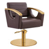 Salon Chair with Gold Stainless Steel Arms - Bello Gold Styling Chair - DIR Store