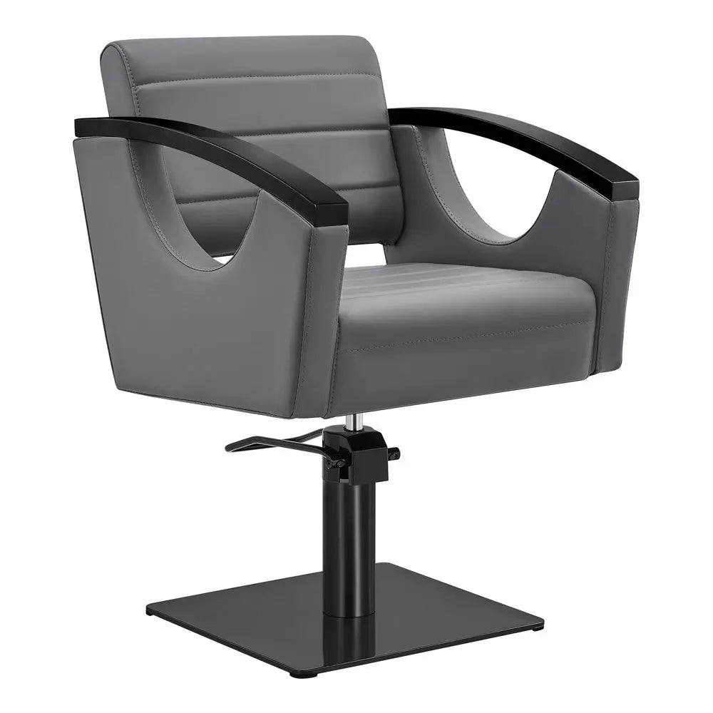 Salon Chair with Titanium Black Stainless Steel Arms - Bello Titanium Black Styling Chair DIR Store