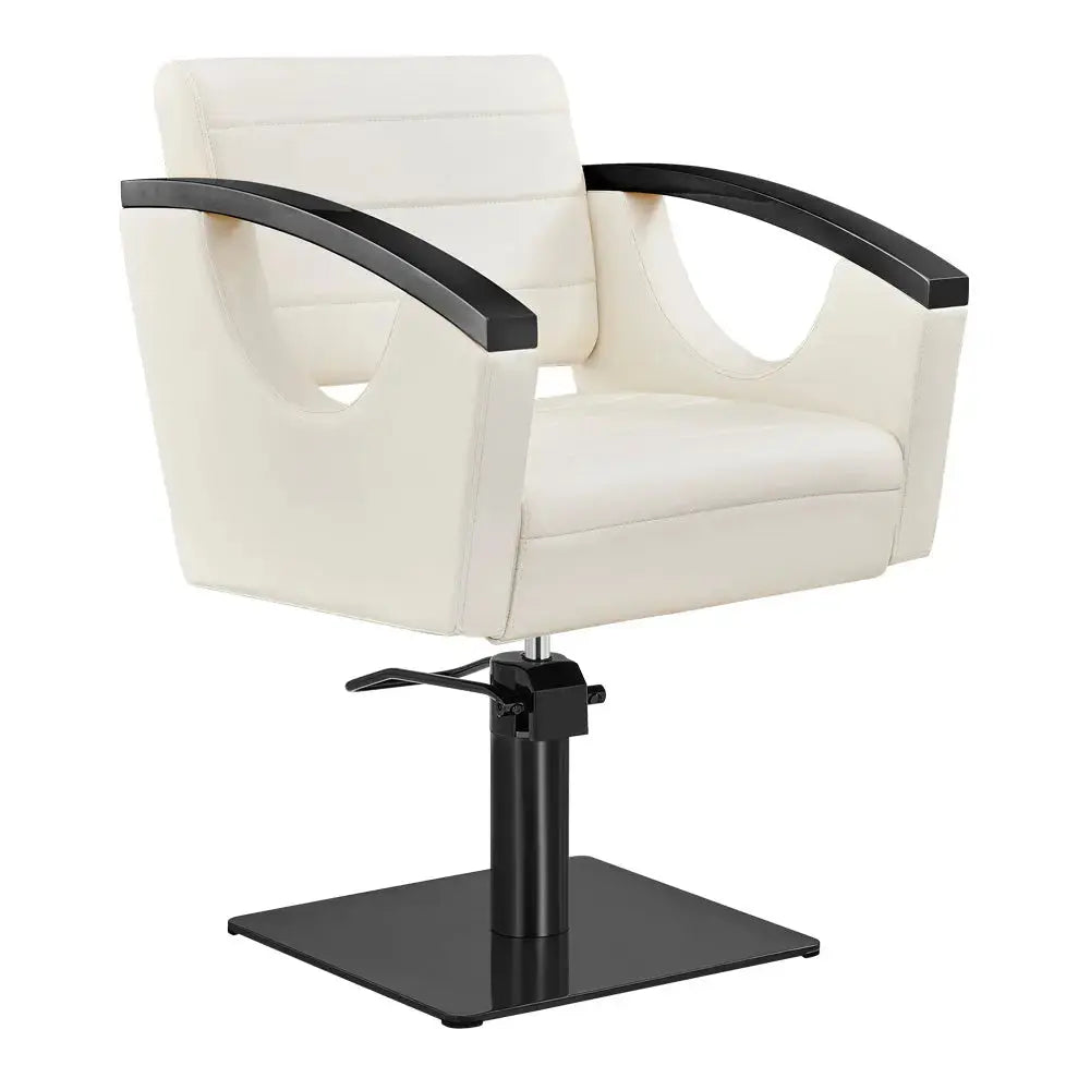 Salon Chair with Titanium Black Stainless Steel Arms - Bello Titanium Black Styling Chair DIR Store