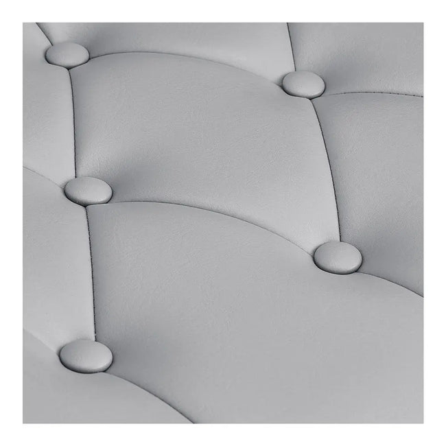 Salon Chair - EMAES Reclining Styling Chair DIR Store