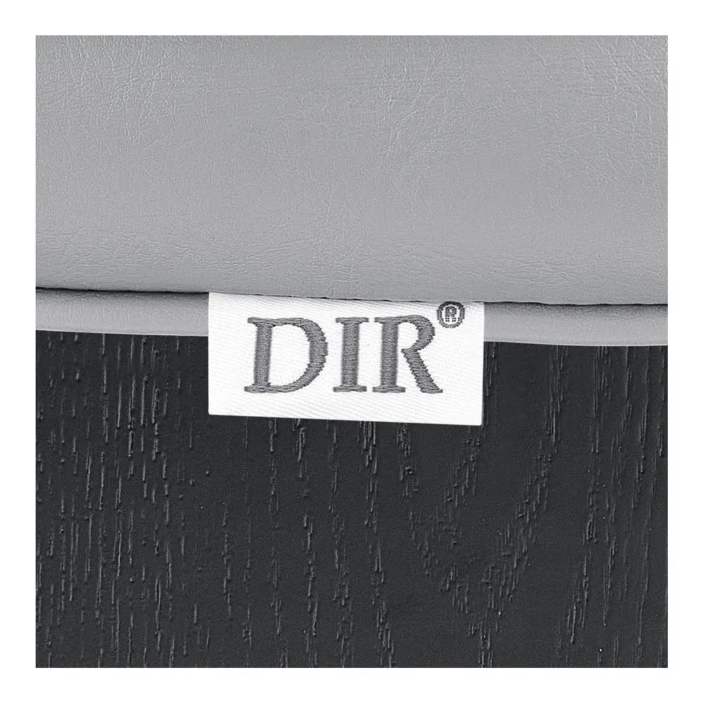 Salon Chair - EMAES Reclining Styling Chair DIR Store