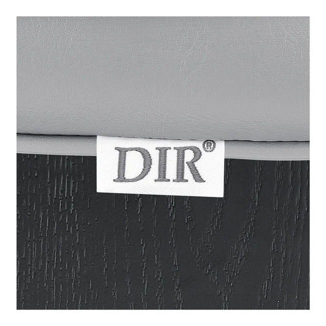 Salon Chair - EMAES Reclining Styling Chair DIR Store