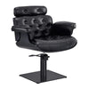 Salon Chair - Emaes Styling Chair vendor-unknown