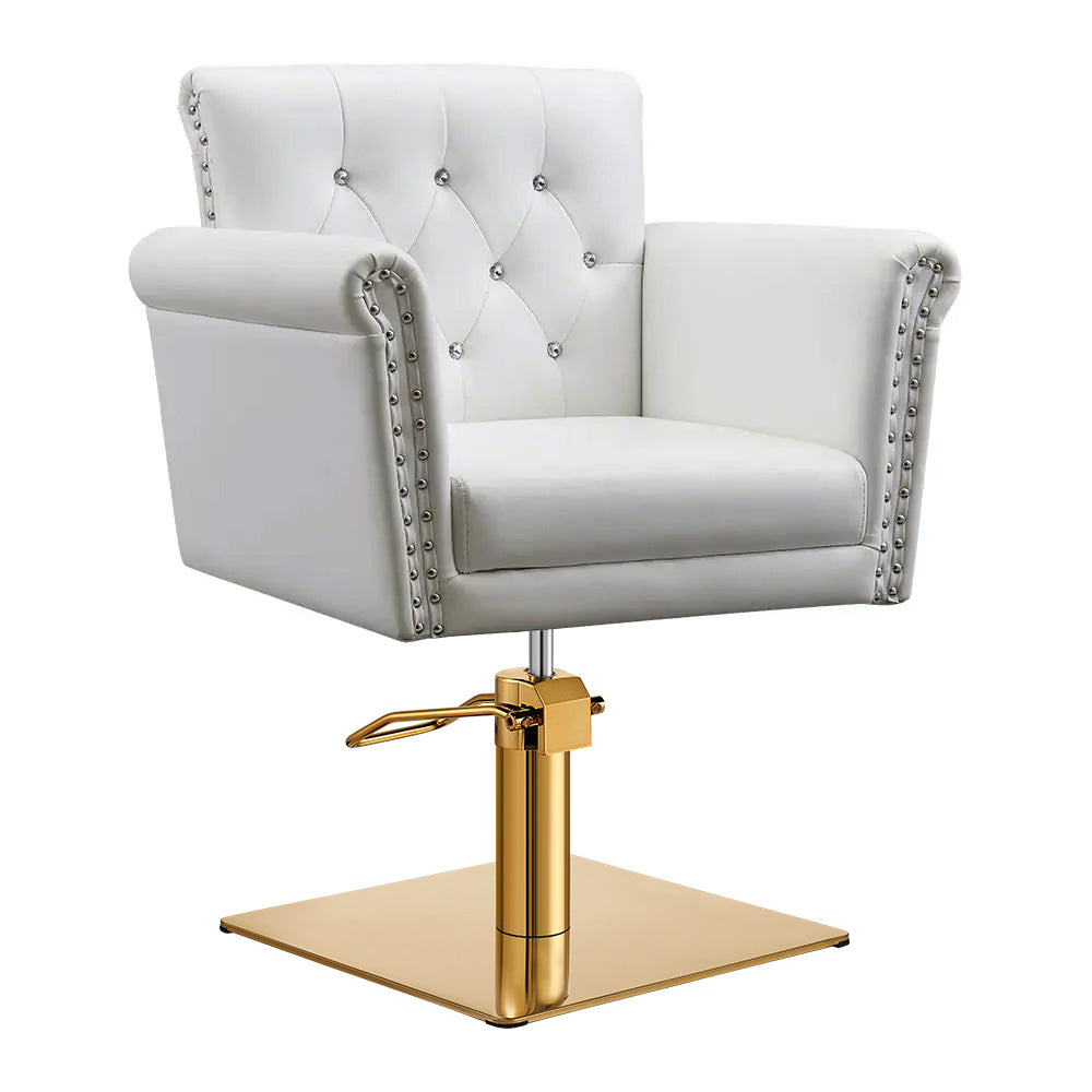 Salon Chair - Lion II Styling Chair DIR Store