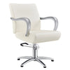 Salon Chair with Aluminium Arms - Meteor Styling Chair DIR Store