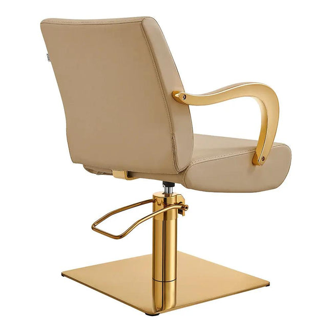 Salon Chair with Gold Arms - Meteor Gold Styling Chair - DIR Store