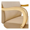 Salon Chair with Gold Arms - Meteor Gold Styling Chair - DIR Store