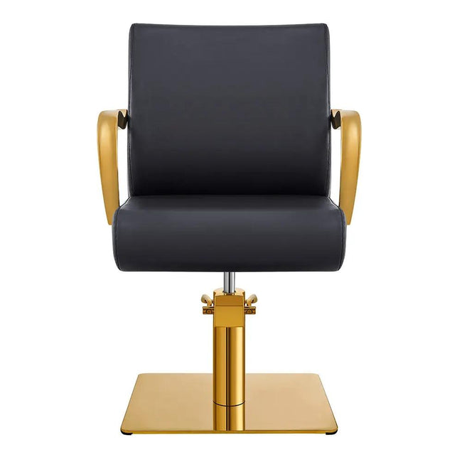 Salon Chair with Gold Arms - Meteor Gold Styling Chair - DIR Store