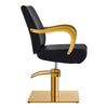 Salon Chair with Gold Arms - Meteor Gold Styling Chair - DIR Store