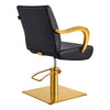 Salon Chair with Gold Arms - Meteor Gold Styling Chair - DIR Store