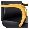 Salon Chair with Gold Arms - Meteor Gold Styling Chair - DIR Store