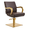 Salon Chair with Gold Arms - Meteor Gold Styling Chair - DIR Store