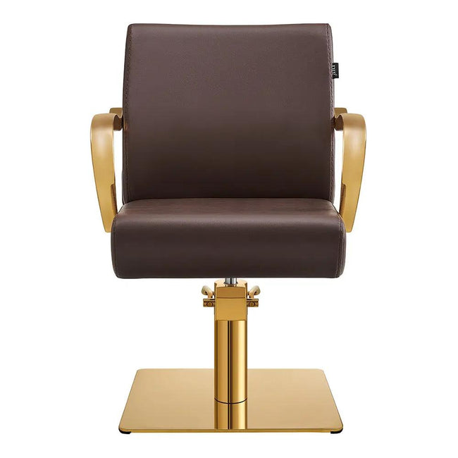 Salon Chair with Gold Arms - Meteor Gold Styling Chair - DIR Store
