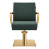 Salon Chair with Gold Arms - Meteor Gold Styling Chair - DIR Store