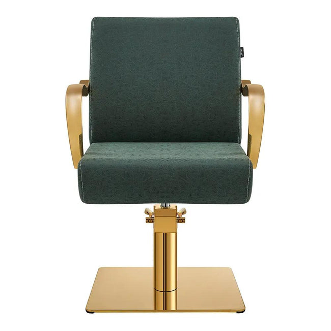 Salon Chair with Gold Arms - Meteor Gold Styling Chair - DIR Store