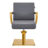 Salon Chair with Gold Arms - Meteor Gold Styling Chair - DIR Store