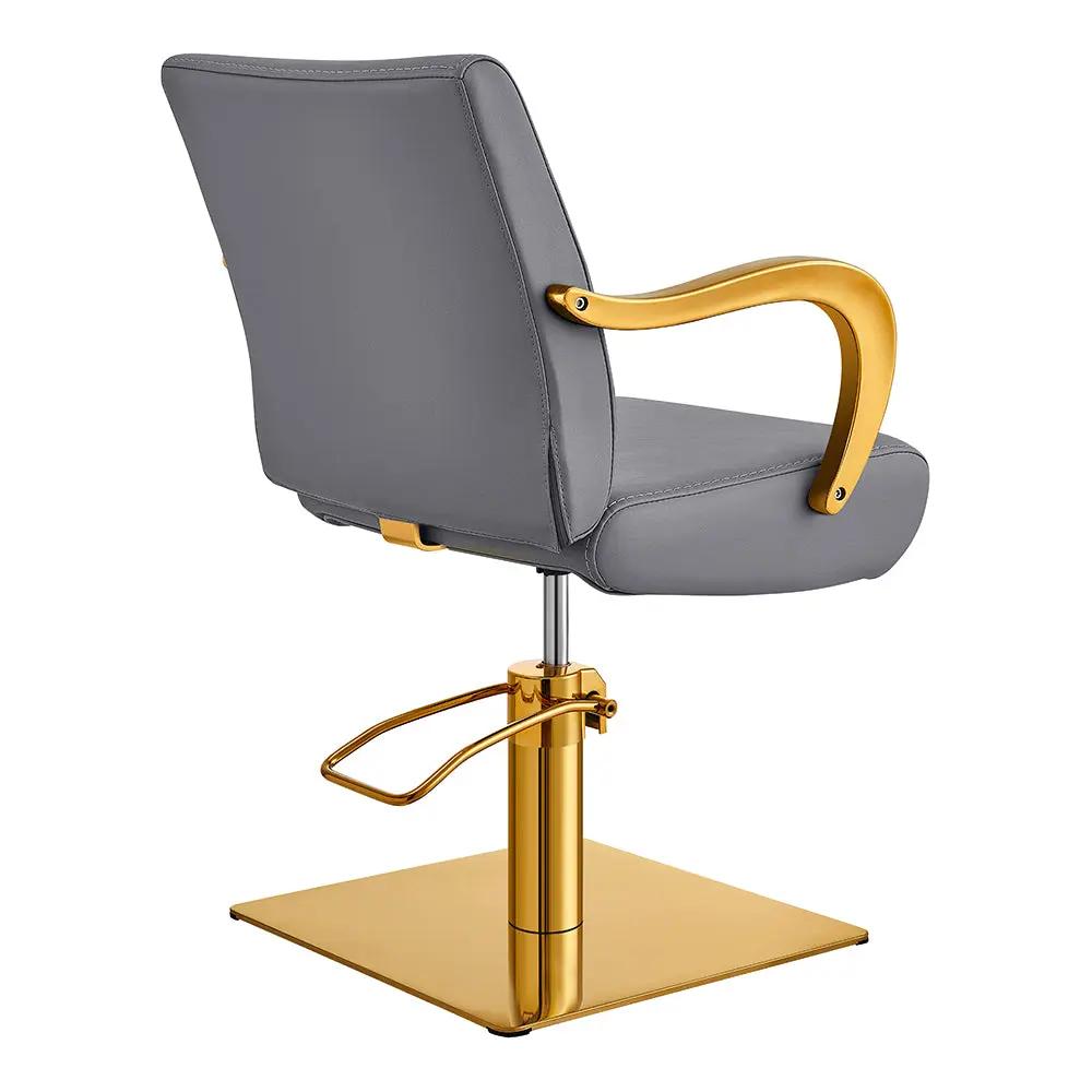 Salon Chair with Gold Arms - Meteor Gold Styling Chair - DIR Store