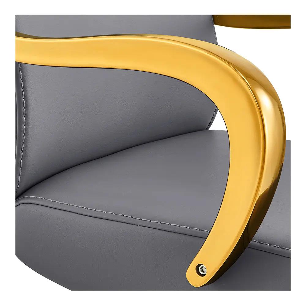 Salon Chair with Gold Arms - Meteor Gold Styling Chair - DIR Store