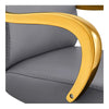 Salon Chair with Gold Arms - Meteor Gold Styling Chair - DIR Store