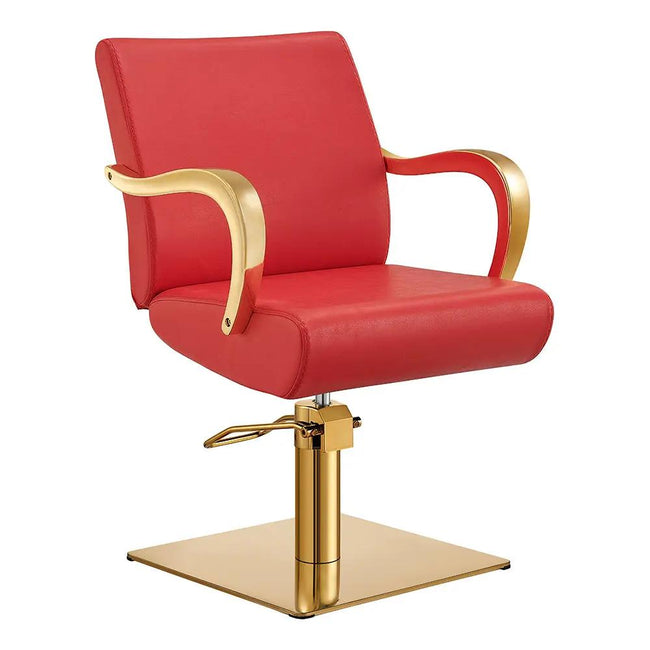 Salon Chair with Gold Arms - Meteor Gold Styling Chair - DIR Store