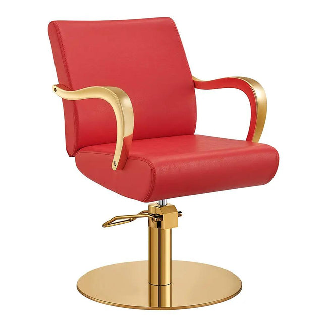 Salon Chair with Gold Arms - Meteor Gold Styling Chair - DIR Store