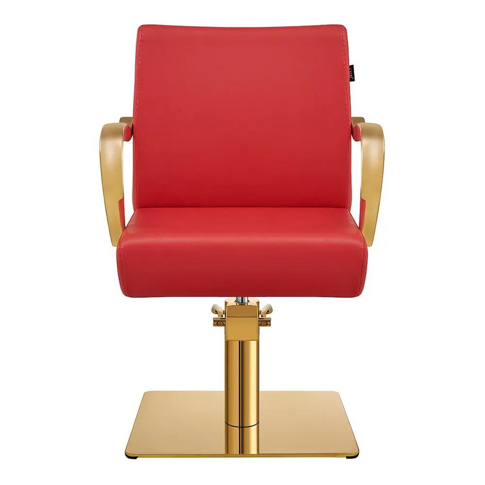 Salon Chair with Gold Arms - Meteor Gold Styling Chair - DIR Store