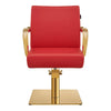 Salon Chair with Gold Arms - Meteor Gold Styling Chair - DIR Store
