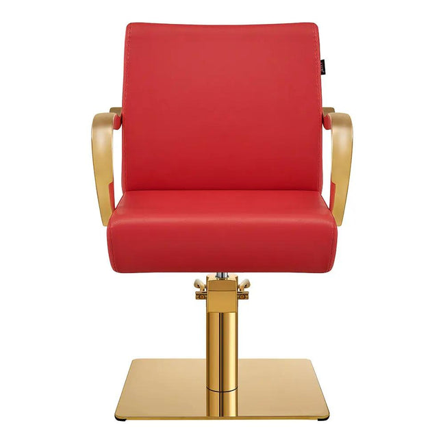 Salon Chair with Gold Arms - Meteor Gold Styling Chair - DIR Store