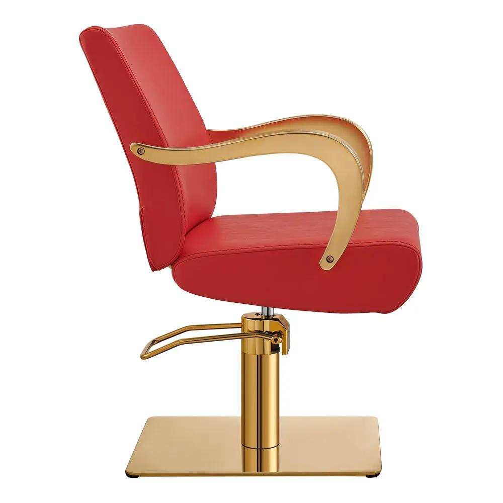 Salon Chair with Gold Arms - Meteor Gold Styling Chair - DIR Store