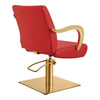 Salon Chair with Gold Arms - Meteor Gold Styling Chair - DIR Store