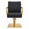 Salon Chair with Gold Arms - Meteor Gold Styling Chair - DIR Store