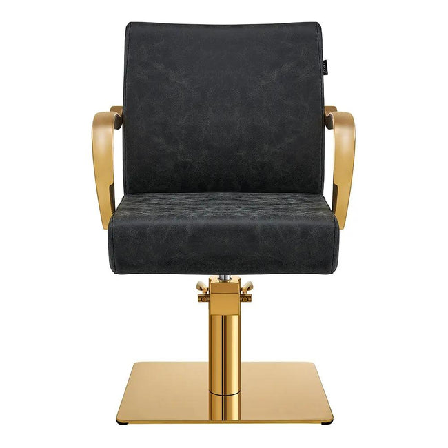 Salon Chair with Gold Arms - Meteor Gold Styling Chair - DIR Store