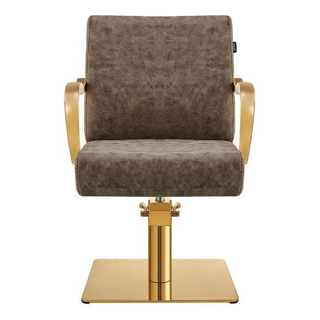 Salon Chair with Gold Arms - Meteor Gold Styling Chair - DIR Store