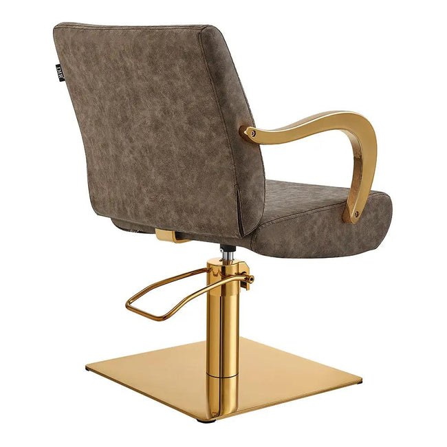 Salon Chair with Gold Arms - Meteor Gold Styling Chair - DIR Store