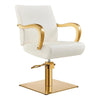 Salon Chair with Gold Arms - Meteor Gold Styling Chair - DIR Store