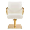 Salon Chair with Gold Arms - Meteor Gold Styling Chair - DIR Store