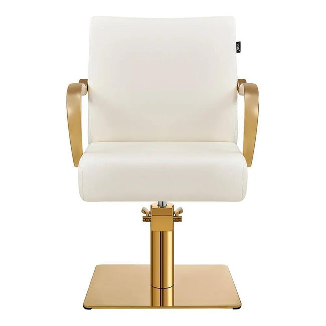 Salon Chair with Gold Arms - Meteor Gold Styling Chair - DIR Store