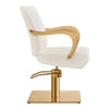 Salon Chair with Gold Arms - Meteor Gold Styling Chair - DIR Store