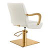 Salon Chair with Gold Arms - Meteor Gold Styling Chair - DIR Store