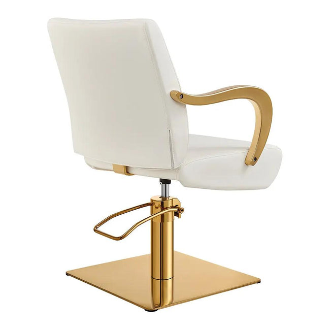 Salon Chair with Gold Arms - Meteor Gold Styling Chair - DIR Store