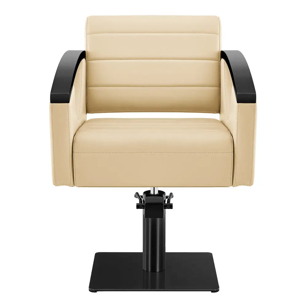 Salon Chair with Titanium Black Stainless Steel Arms - Bello Titanium Black Styling Chair DIR Store