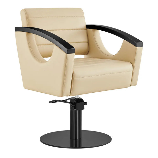 Salon Chair with Titanium Black Stainless Steel Arms - Bello Titanium Black Styling Chair DIR Store