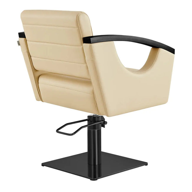 Salon Chair with Titanium Black Stainless Steel Arms - Bello Titanium Black Styling Chair DIR Store