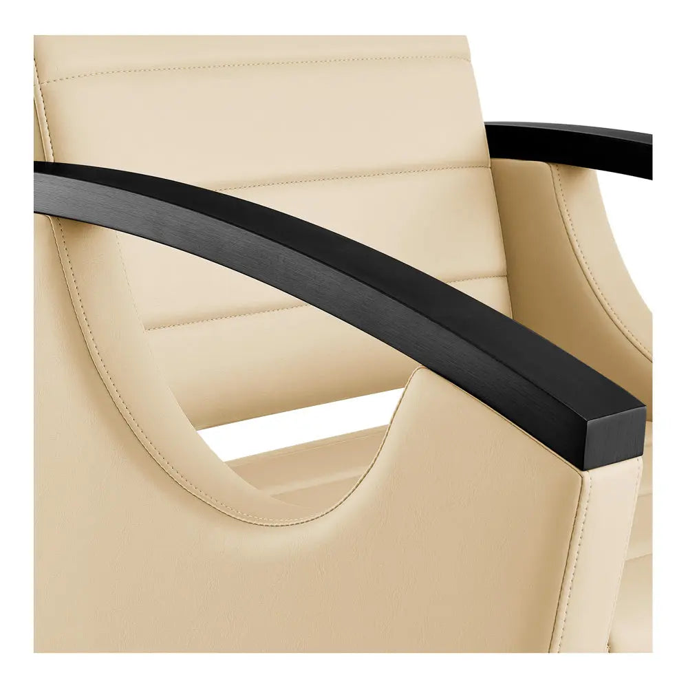 Salon Chair with Titanium Black Stainless Steel Arms - Bello Titanium Black Styling Chair DIR Store