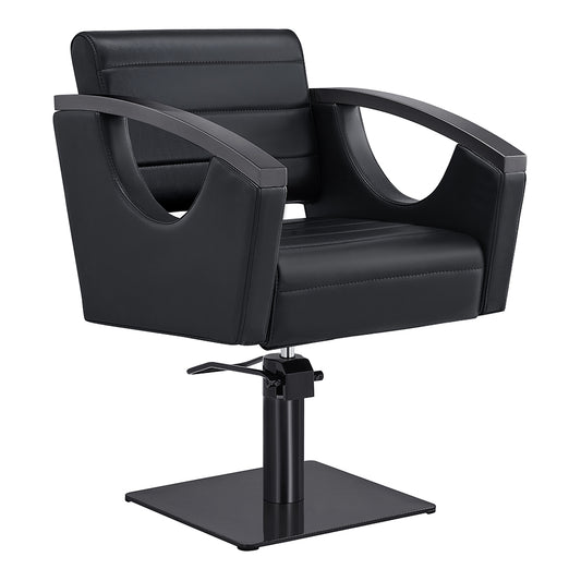 Salon Chair with Titanium Black Stainless Steel Arms - Bello Titanium Black Styling Chair DIR Store